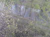 Beth > The view of the river from the old Jewish cemetery, Talnoye.