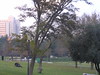 Beth > This in Independence Park, across the street from the American Consulate.  I tried to take a picture of the American Consulate, too, but you're not allowed to - the security guards chased me away.